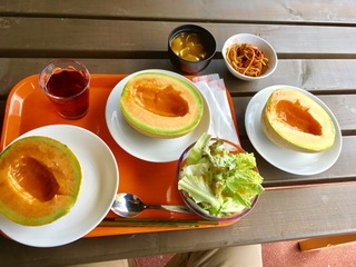2017-07-05-11-09-56