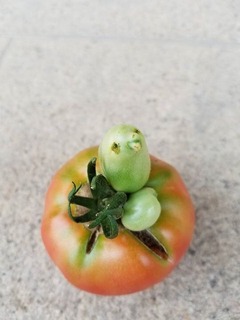 2017-08-21-17-11-28
