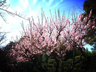 2015-03-09-00-17-35
