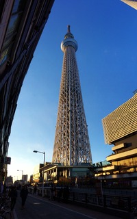 080