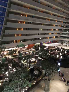 IMG_9783