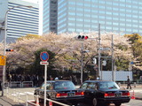 ºù