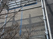 IMG_4889