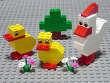 [#10169] Chicken & Chicks