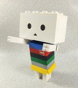 regoboard004