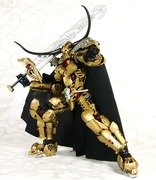 g007