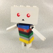 regoboard006