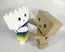 regoboard009