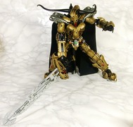 g009