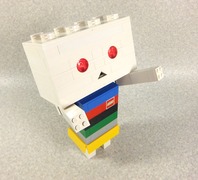 regoboard007