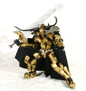 g006