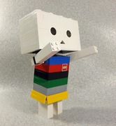 regoboard005