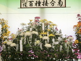 百種類