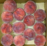 小粒