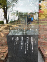 希望の光