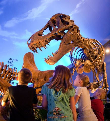 tyrannosaurus-rex-maybe-man-sized_26116_big