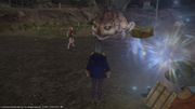 ffxiv_20130616_174748
