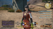 ffxiv_20130616_133423