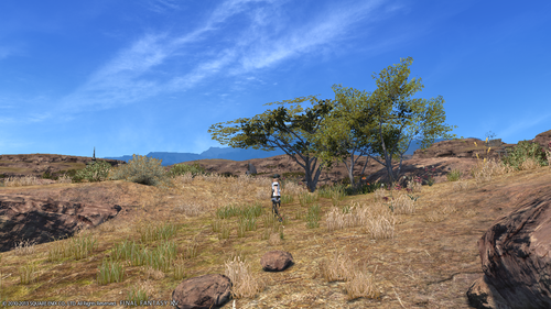 ffxiv_20130622_231929