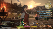 ffxiv_20130616_133919