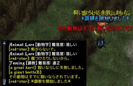 無題55