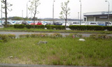 e9fd702b.jpg