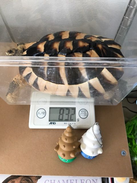 2017-12-07-09-42-49