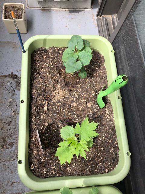 2017-05-09-09-15-56