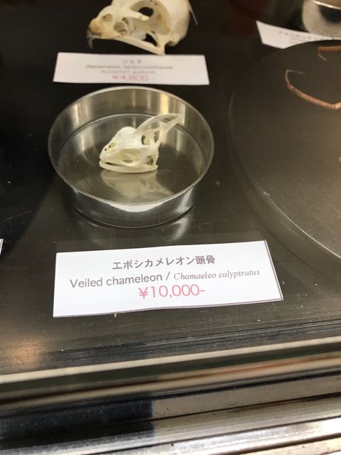 2017-12-03-14-26-33