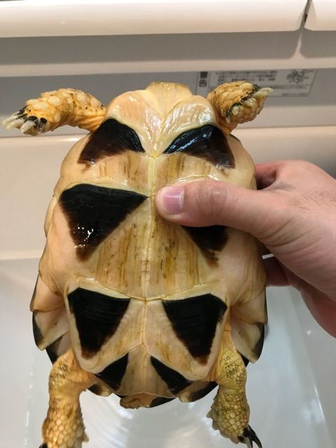 2018-01-06-16-57-11
