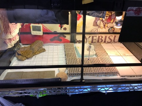 2018-01-06-16-49-53