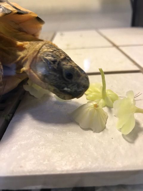 2017-08-11-19-31-32