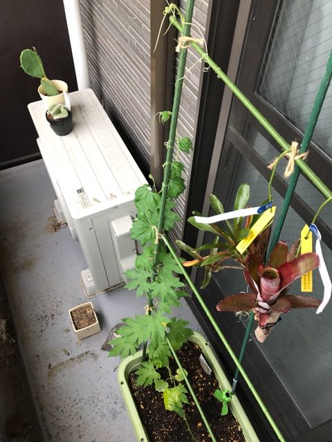 2017-06-24-16-56-36