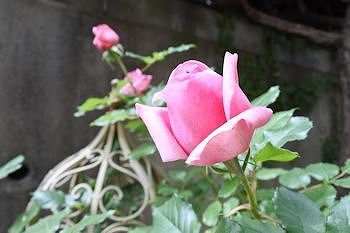 9Mai2017A