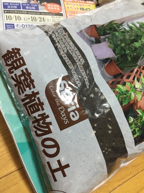 土