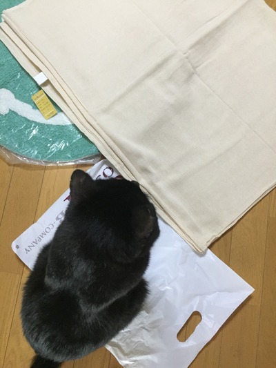2015-12-14-11-33-37