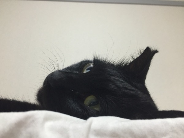 大変
