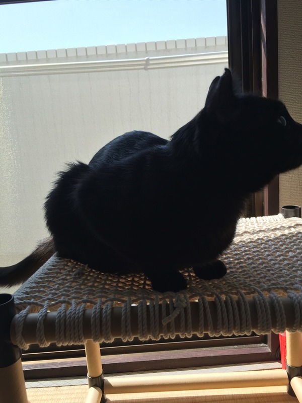 2016-03-29-10-11-10