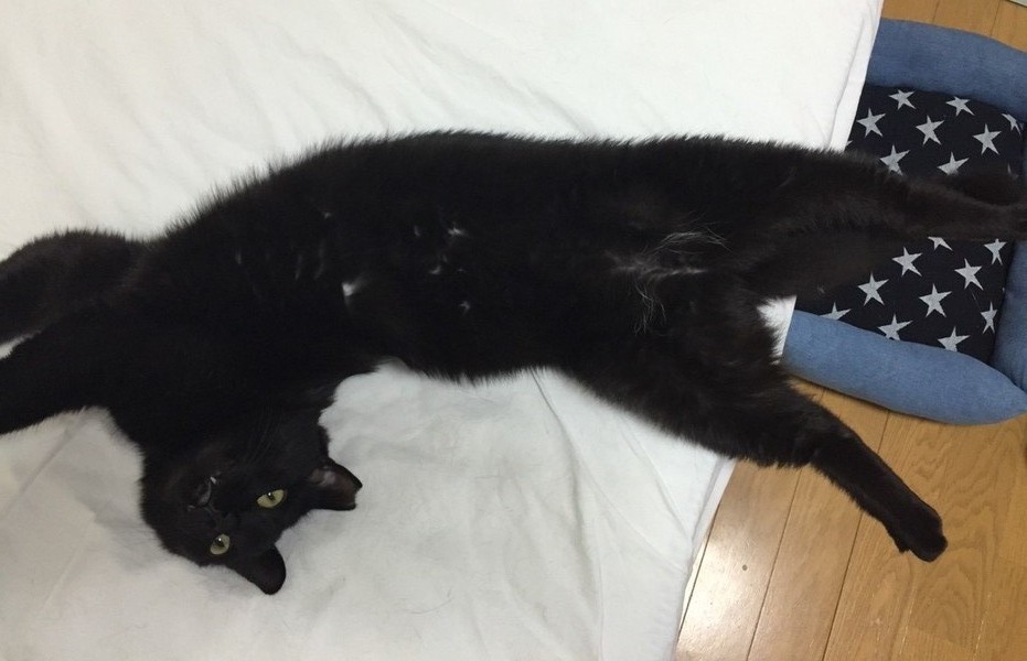 なにか?
