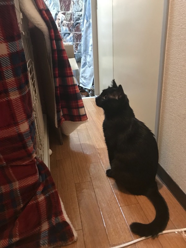 2017-11-29-22-33-11