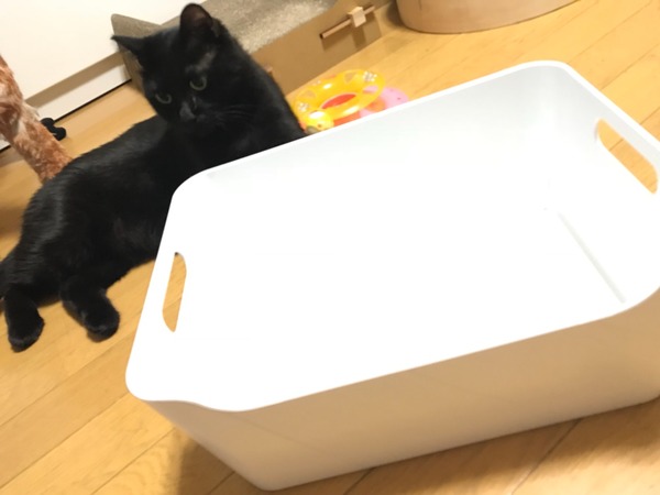 ケース