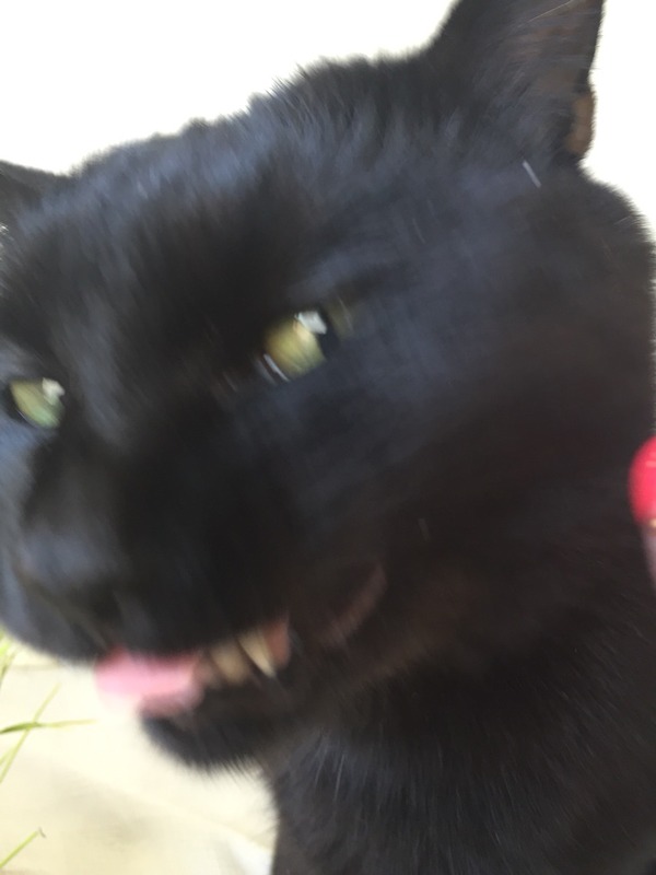 2015-08-22-15-04-29