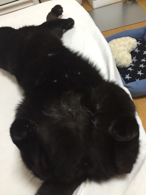 ひらき