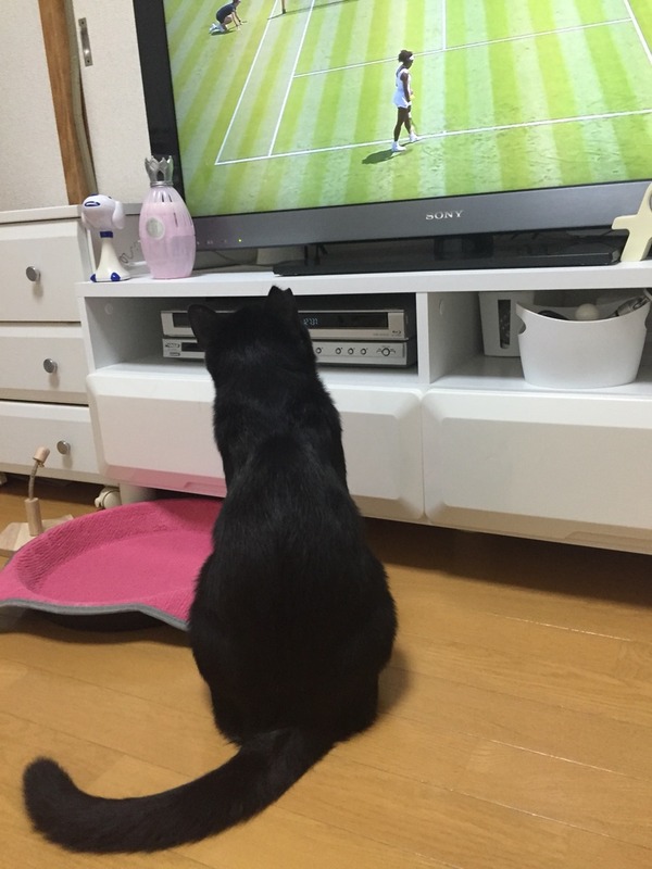 楽しそう
