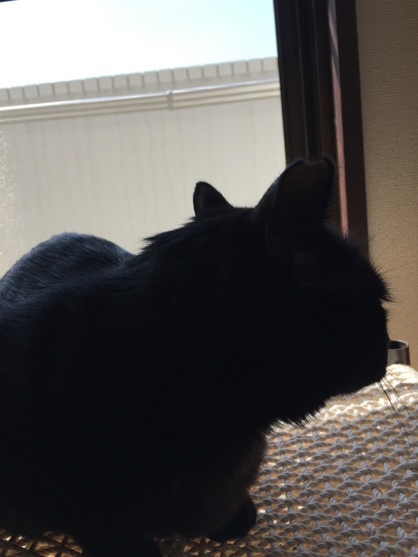 2016-03-29-10-11-30