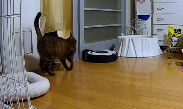 おはよ