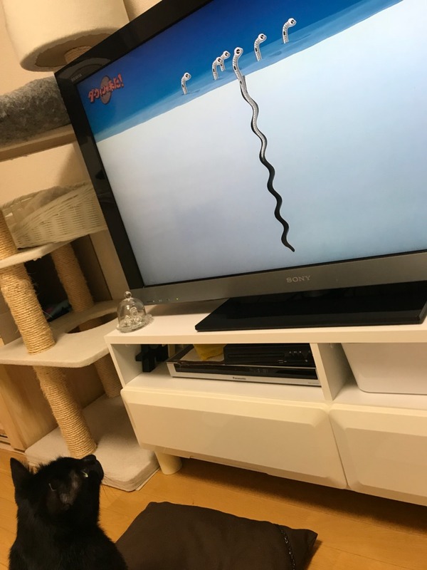 わぉ