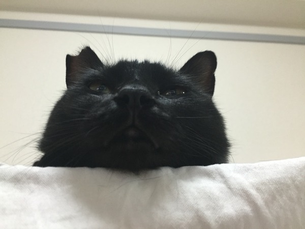 知りません