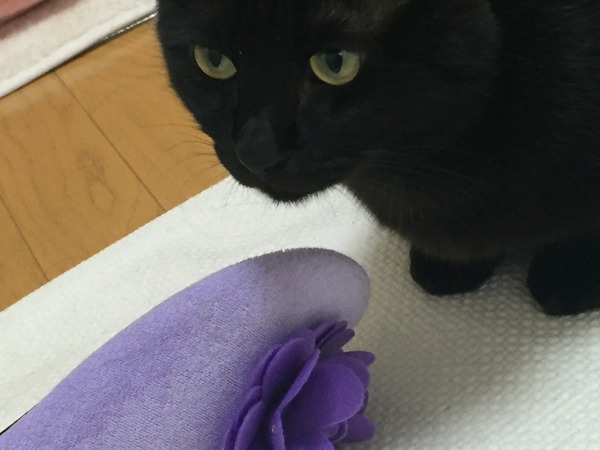 2016-03-27-17-21-01