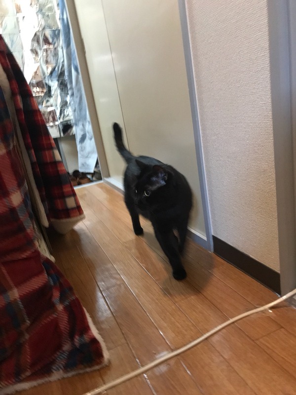 2017-11-29-18-02-48